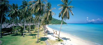 Phi Phi village virtual tour